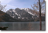 jackson lake